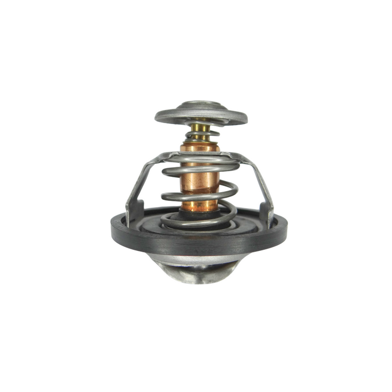 Termostato Peugeot Citroen 1.9 2.0 Diesel