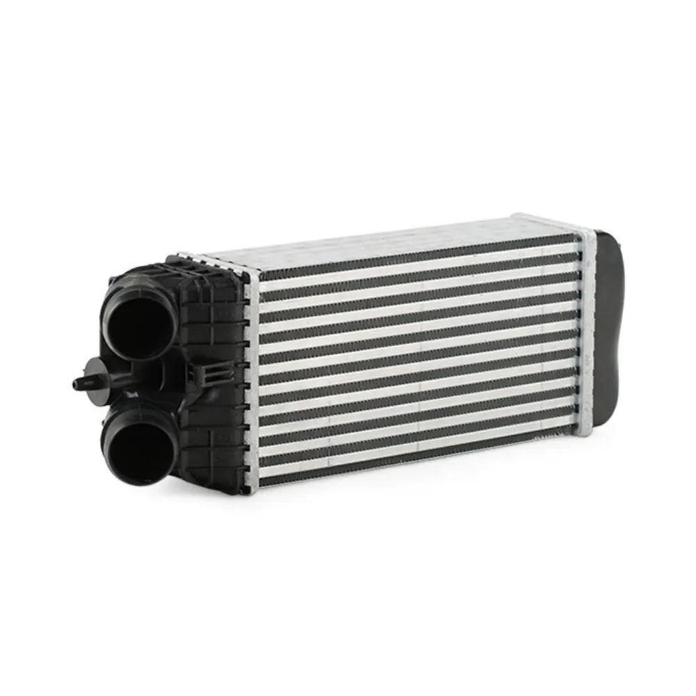 Intercooler Peugeot 301 Citroen Celysee 1.6 Diesel
