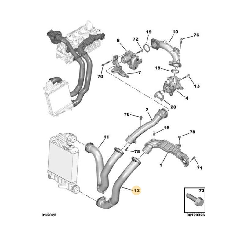 Manguera_Inferior_Intercooler_Peugeot_Partner_K9_3008_Citroen_Berlingo_K9_C5_Aircross_4